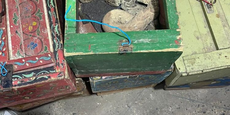 الأمن الوطني: توقيف أشخاص بحوزتهم حيوانات محمية