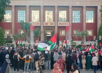 وقفة أمام البرلمان تنديدا بالإبادة الإسرائيلية في غزة