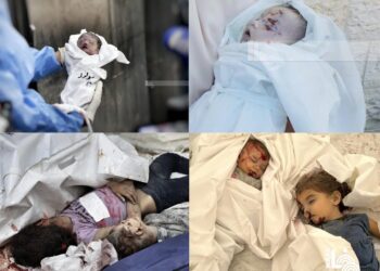 الصحة بغزة: الاحتلال ارتكب مجزرتين خلال 24 ساعة أدت لارتقاء 48 شهيدا