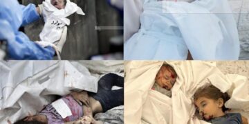 الصحة بغزة: الاحتلال ارتكب مجزرتين خلال 24 ساعة أدت لارتقاء 48 شهيدا