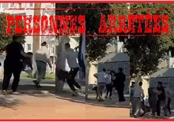 أمن الدار البيضاء: اعتقال شخصين لتبادل الضرب باستخدام كلب من فصيلة خطيرة.