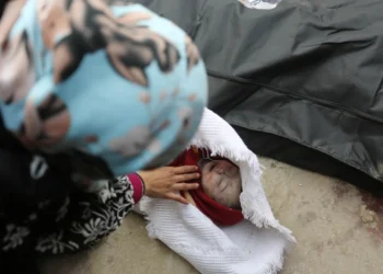 وزارة الصحة في غزة: تسجيل 84 شهيدًا و168 مصابًا خلال الساعات 24 الماضية.
