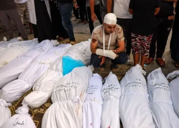 الصحة في غزة: وصل إلى مستشفيات القطاع  36 شهيدًا و41 مصابًا خلال الـ 24 ساعة الماضية