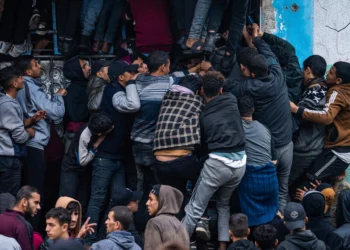 “الصحة العالمية”: تزايد أعداد الناس حول شاحنات الإغاثة يعود إلى أسباب تتعلق بـ “إسرائيل”.