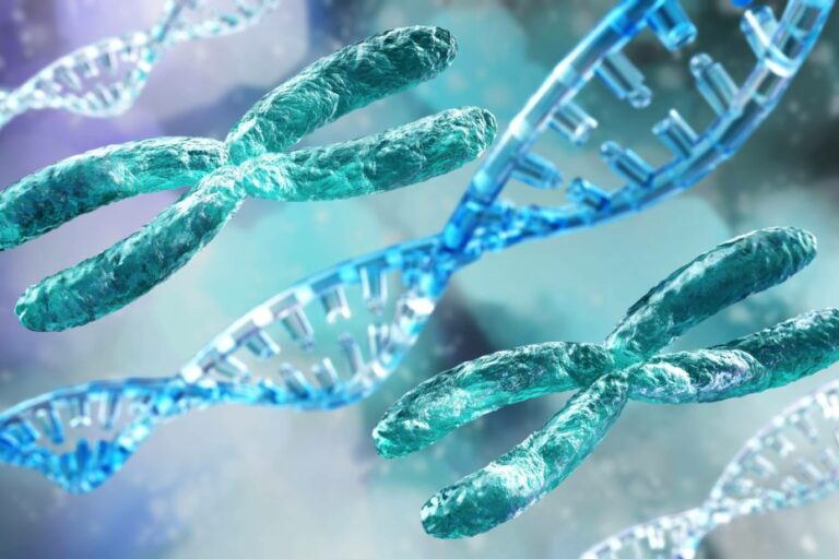 Chromosome, X chromosome, human gene, heredity, chromosome on a