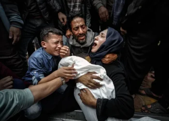 وزارة الصحة في غزة: 23 شهيدا و124 مصابا وصلوا المستشفيات خلال الـ24 ساعة الماضية