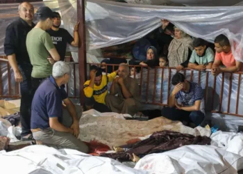 وزارة الصحة في غزة: 38 شخصًا استشهدوا و169 آخرين أصيبوا في جنوب القطاع خلال 24 ساعة الماضية.