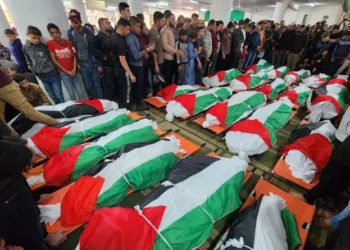 وزارة الصحة بغزة: 19 شهيدا و 81 إصابة وصلوا المستشفيات خلال 24 ساعة