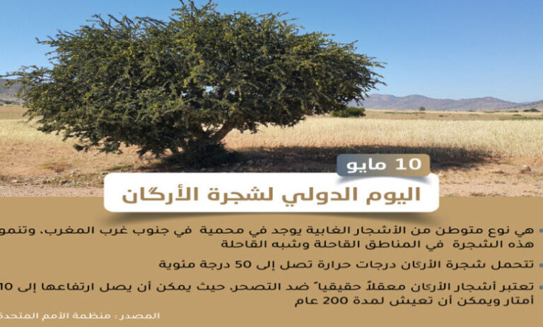 شجرة-الأركان-1-780x470