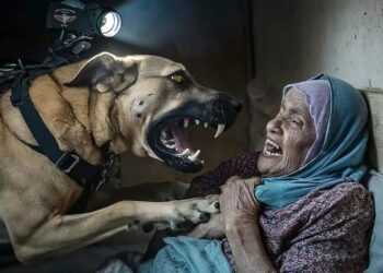 الكلاب العسكرية المرتبطة بالاحتلال تهاجم أجساد سكان غزة وتزرع الخوف بينهم.