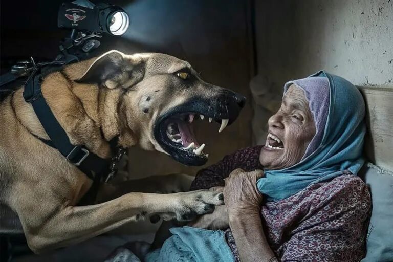غزة