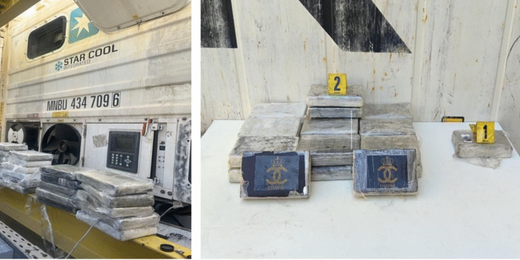 أمن ميناء طنجة المتوسط: إحباط عملية تهريب دولية لشحنة تزن 25 كيلوغراماً من مخدر الكوكايين الخام،