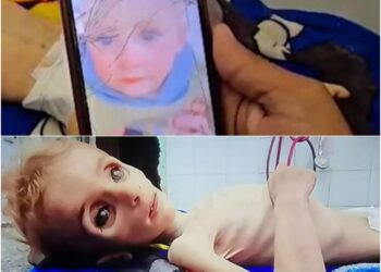 “الإعلام الحكومي” في قطاع غزة: توفي 69 طفلاً جوعاً في غزة، وارتفعت حصيلة ضحايا نقص الغذاء والدواء إلى 620 مريضاً.