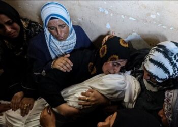 وزارة الصحة في غزة: 59 شهيدا و224 جريحا وصلوا المستشفيات خلال الـ24 ساعة الماضية