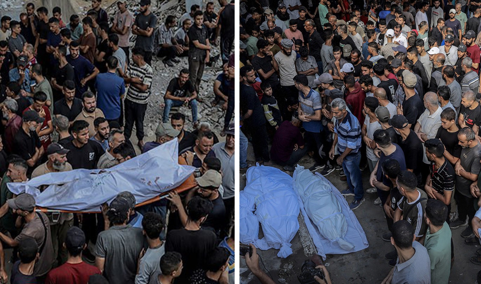 WhatsApp Image 2025 07 31 at 3.52.29 PM 1