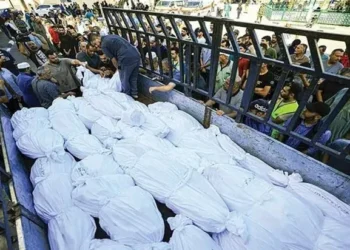 وزارة الصحة في غزة: نحو 100 شهيد خلال 24 ساعة