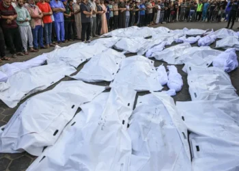 مصادر طبية في غزة: عشرات الشهداء في مجازر “إسرائيلية” جديدة بغزة.. وارتفاع وفيات التجويع إلى 339 بينهم 124 طفلاً