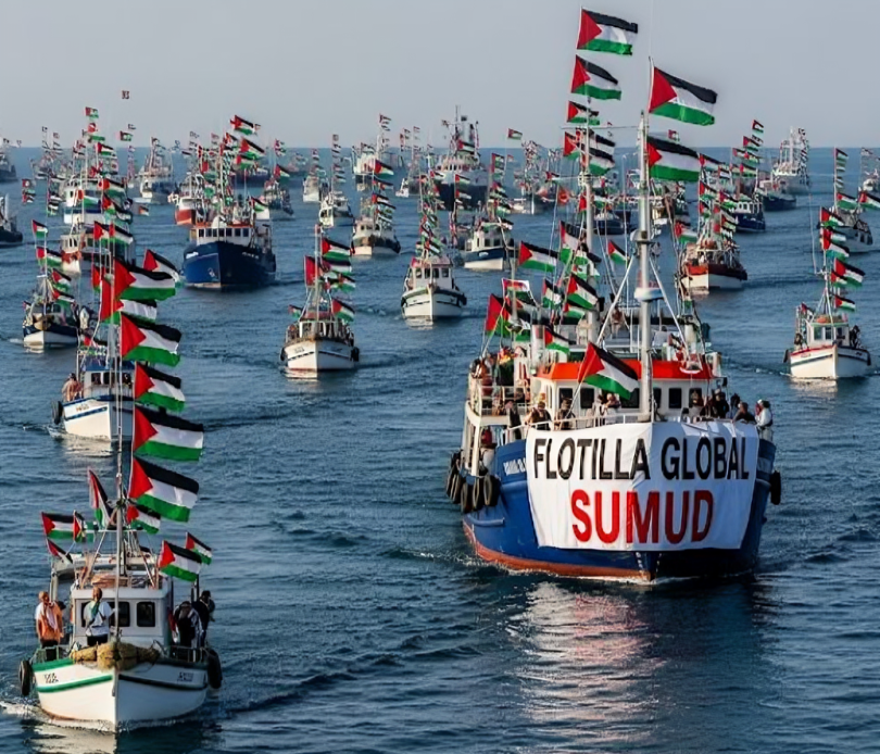 f0991247 0f83 4d20 95ee e27b5c5c29ed 1