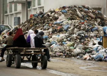 بلدية غزة تحذر من خطر ربع مليون طن من النفايات في القطاع على حياة السكان.