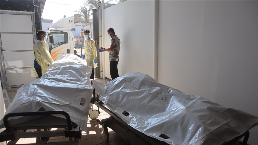 thumbs b c 7ee1be8bd0559439876245c283aa2b14