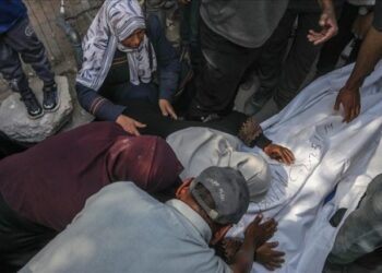 استهداف مركبة للنازحين في حي الزيتون في غزة أسفر عن شهداء وجرحى.