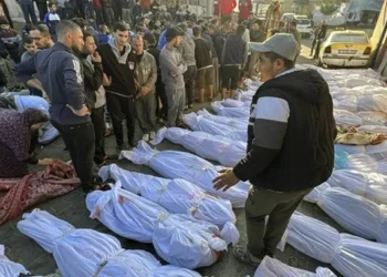 وزارة الصحة في غزة:77 شهيدا و 222 إصابة وصلوا مستشفيات قطاع غزة خلال 24 ساعة