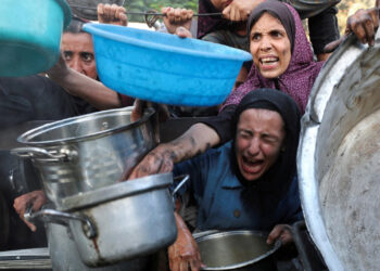 أكثر من 40 منظمة إنسانية دولية تتهم “إسرائيل” بتعطيل وصول المساعدات إلى غزة