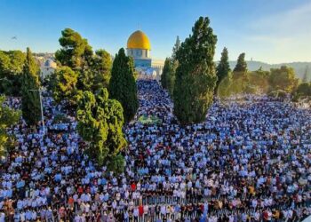 المسجد الاقصى: 60 ألف مصل أدوا صلاة الجمعة والغائب في الأقصى على روح شهداء غزة والضفة الغربية