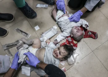 وزارة الصحة في غزة: 14 شهيدا بينهم 9 انتشال و7 جرحى وصلوا المستشفيات خلال الـ24 ساعة الماضية