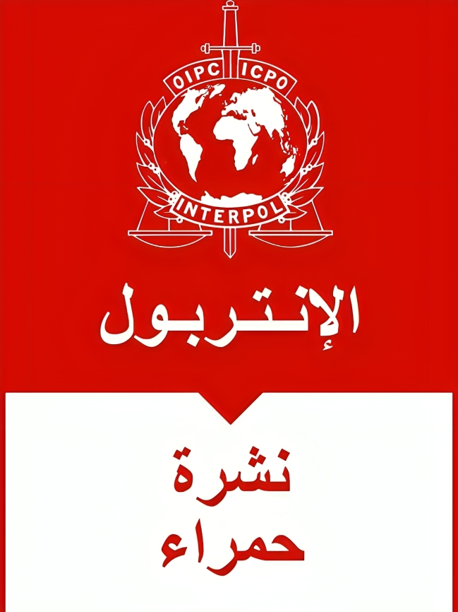 WhatsApp Image 2025 11 17 a 22.34.10 7d934483