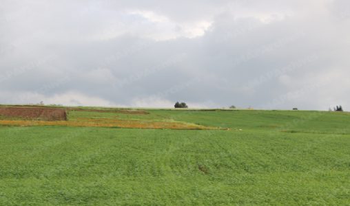 meteo1 1 508x300 1