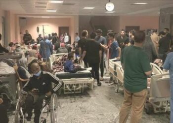 عدد الشهداء في غزة 343 بلغ منذ بدء اتفاق وقف إطلاق النار.