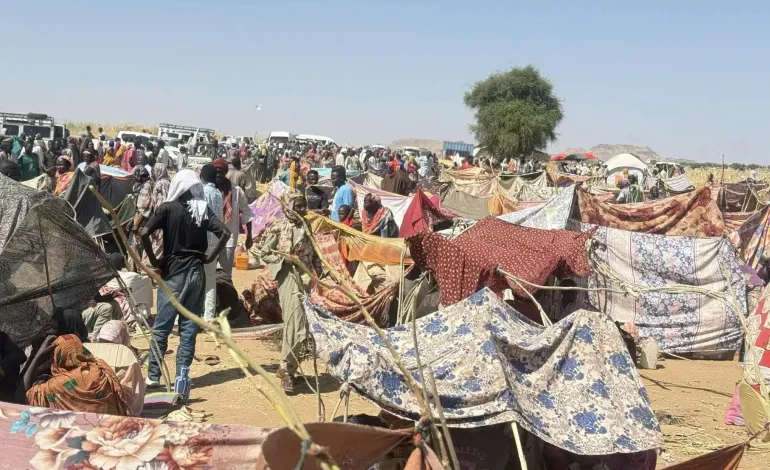 1001328837 1766999794