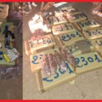 WhatsApp Image 2025 12 23 at 12.11.13