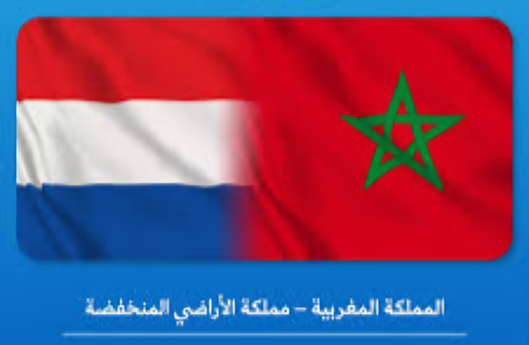 لاهاي