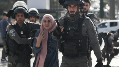 5d33c7de0ce7bd004d8353b1567ab333