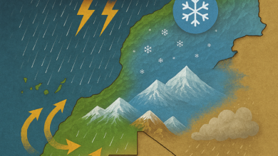 BCO.45feca63 7b48 4c81 bbae 119bd9106b89