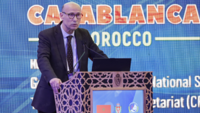 Taoufik Sayerh 508x300 1