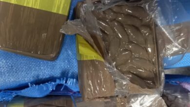 WhatsApp Image 2026 01 19 at 22.51.36