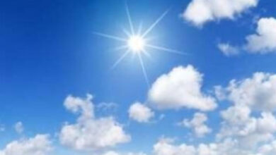 meteo