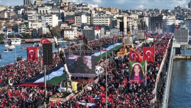 thumbs b c c352347069fd3ea40ae00c72302b7d73