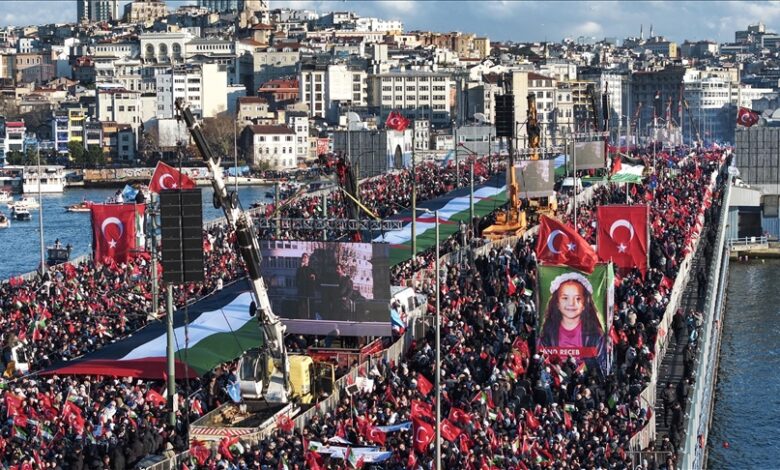 thumbs b c c352347069fd3ea40ae00c72302b7d73