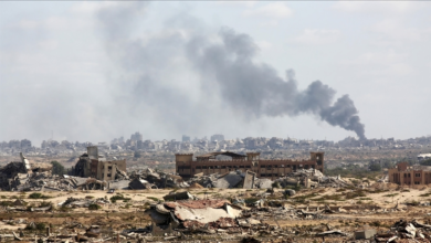 thumbs b c e76ca09a241506e23aeac31a3ccd0942