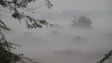 ضباب2