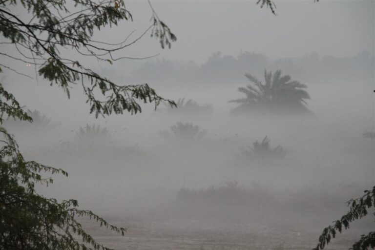 ضباب2