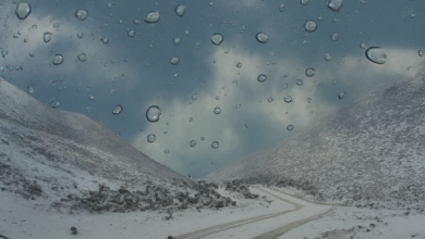 BCO.f2e5ca93 6612 49df 80ff 2820146502d0