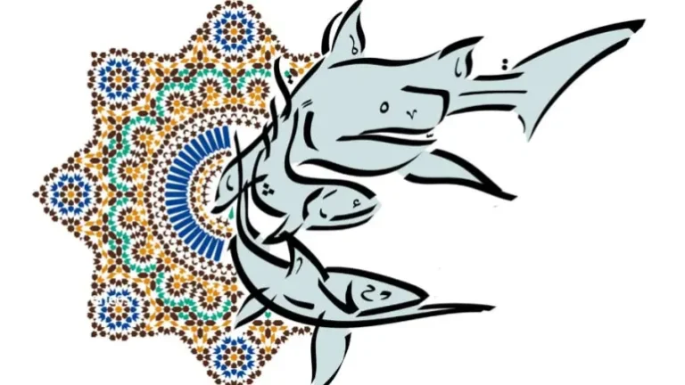 مؤتمر الحفريات ببرشيد