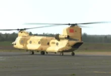 IMG 20260207 111904 800 x 500 pixel