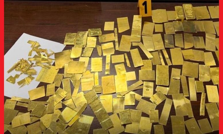 WhatsApp Image 2026 02 08 at 13.30.34