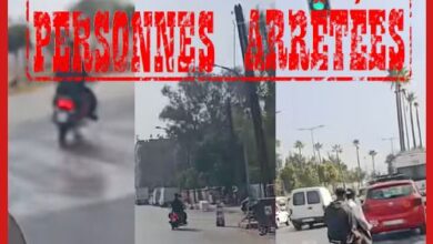 WhatsApp Image 2026 02 24 at 22.39.25